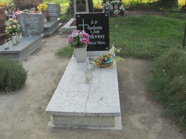 Grób Apolonia Brukwicka